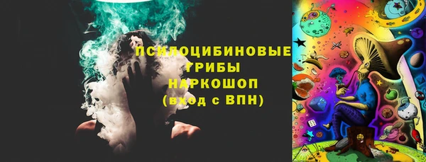 соль ск Ладушкин