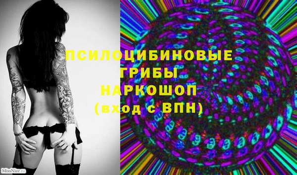 соль ск Ладушкин