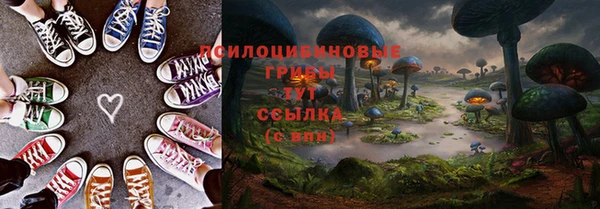 гашик Лагань