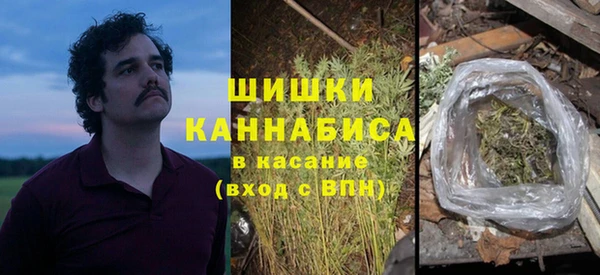 соль ск Ладушкин