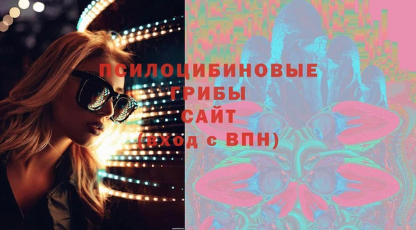 гашик Лагань