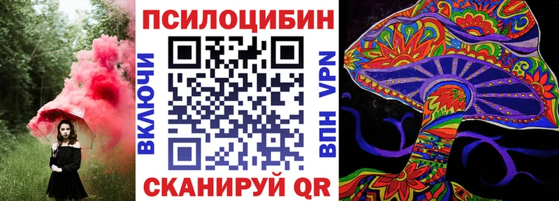 Купить закладки  Краснослободск  Галлюциногенные грибы Psilocybe 